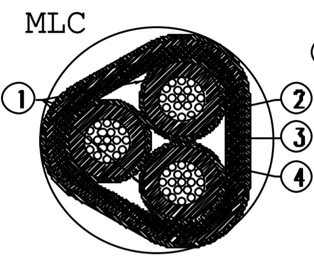 EN 2714-013C 030 F (MLC12)